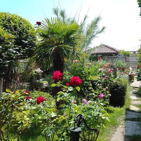 Guest House Amazonia Varna ภายนอก รูปภาพ