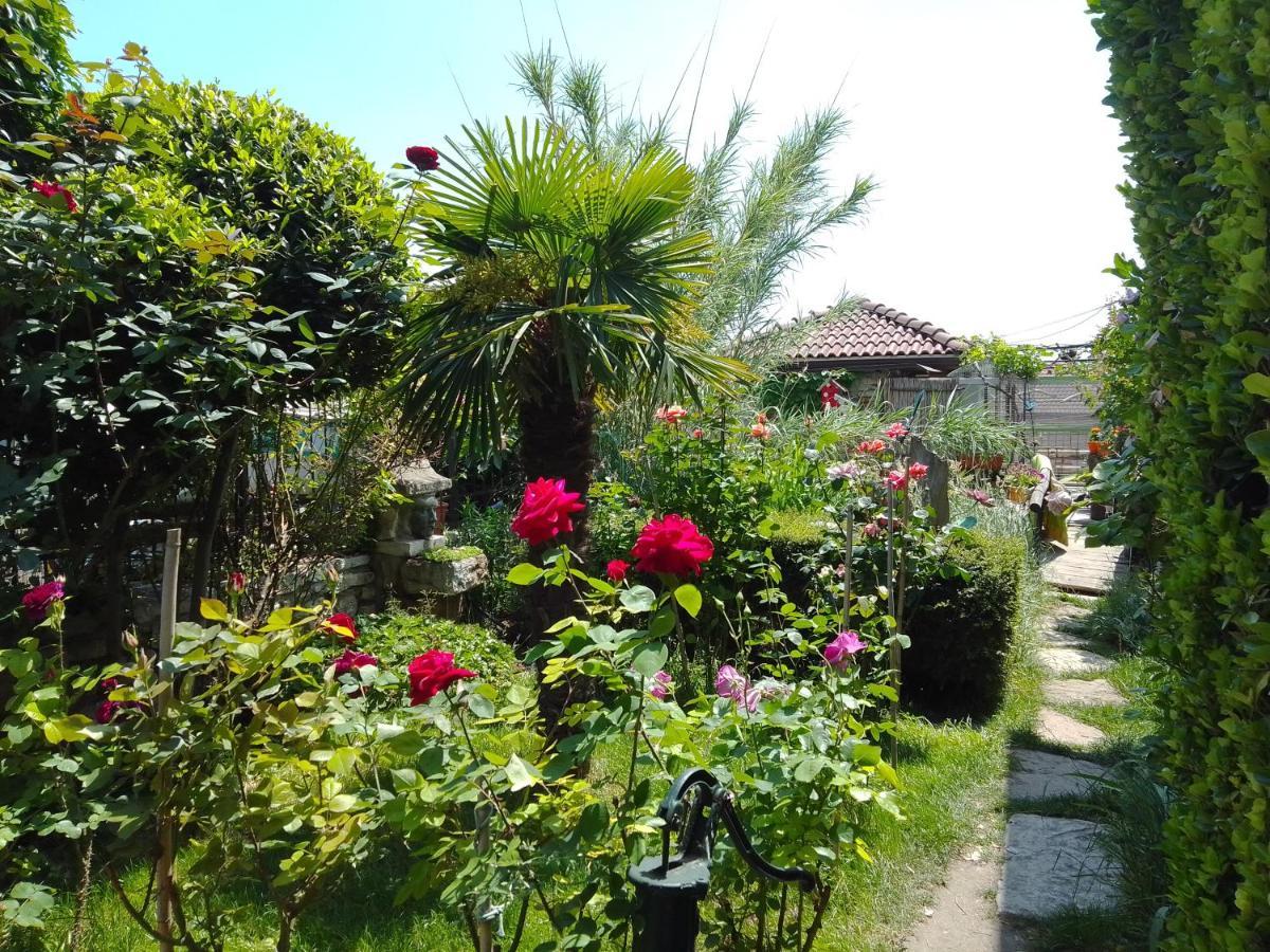 Guest House Amazonia Varna ภายนอก รูปภาพ