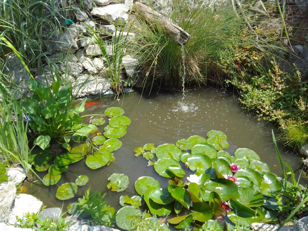 Guest House Amazonia Varna ภายนอก รูปภาพ