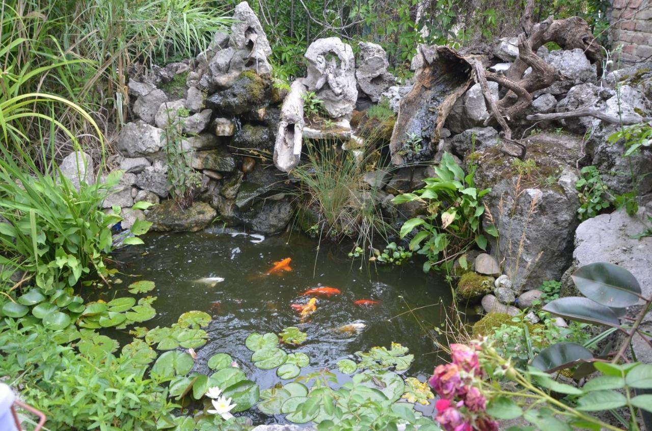 Guest House Amazonia Varna ภายนอก รูปภาพ